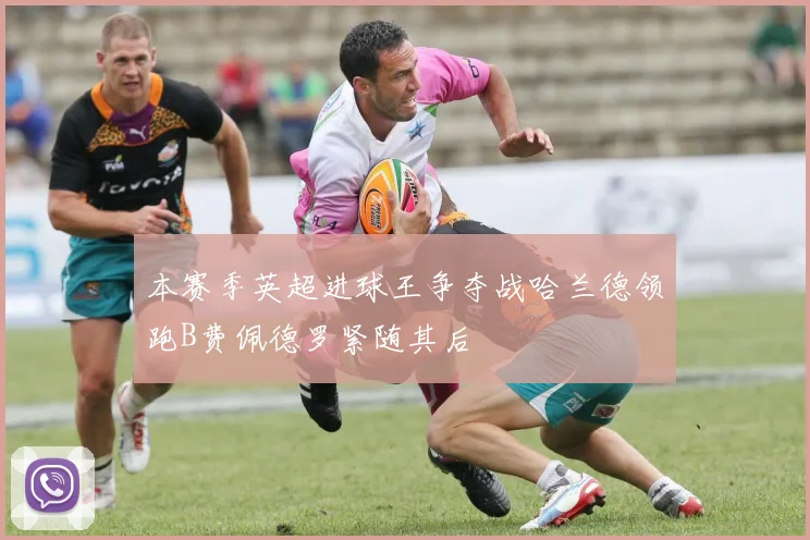 本赛季英超进球王争夺战哈兰德领跑B费佩德罗紧随其后